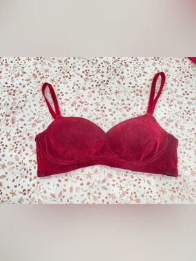 Velvet Padded Bra in Burgundy Red with Adjustable Straps